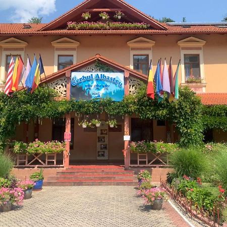 Vila Cerbul Albastru Hotel Moneasa Esterno foto