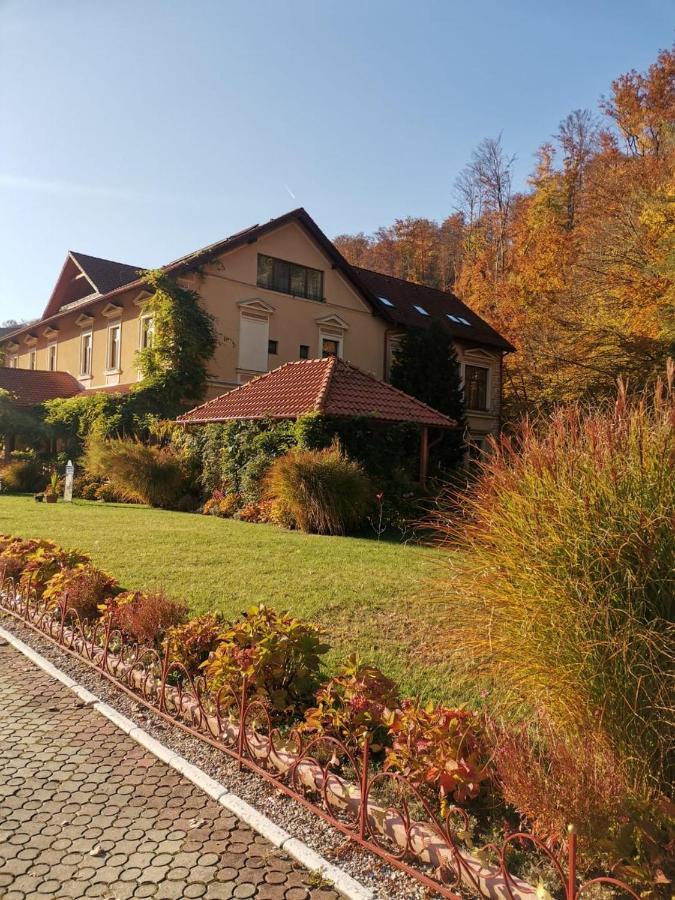 Vila Cerbul Albastru Hotel Moneasa Esterno foto