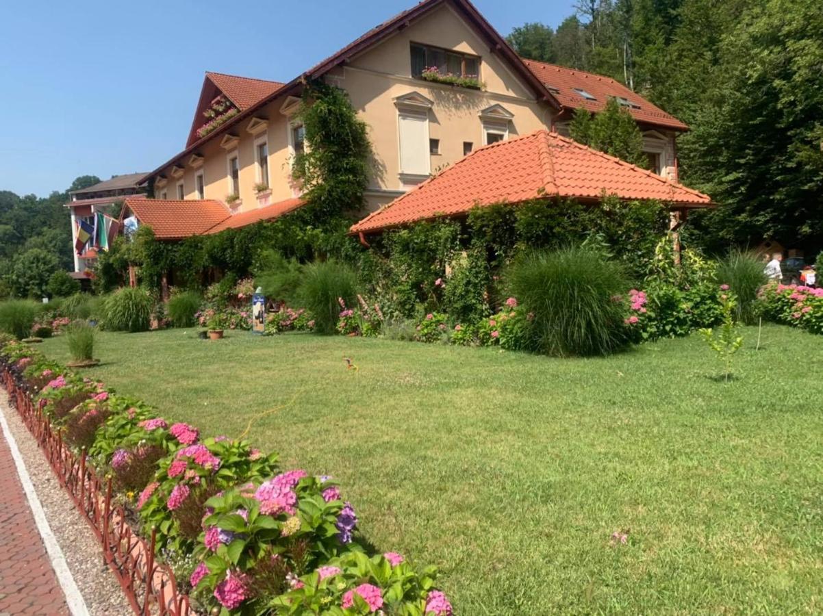 Vila Cerbul Albastru Hotel Moneasa Esterno foto