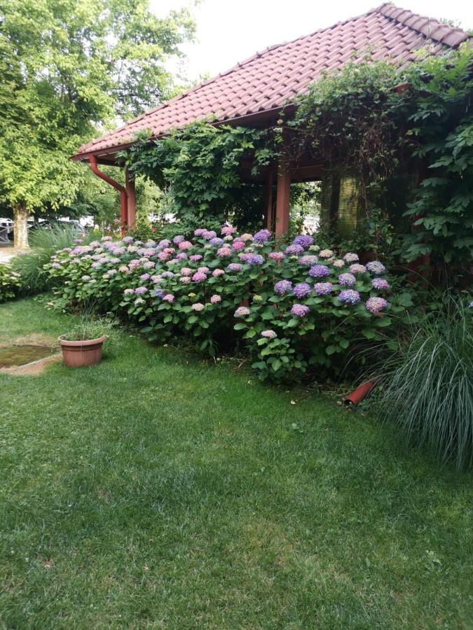Vila Cerbul Albastru Hotel Moneasa Esterno foto