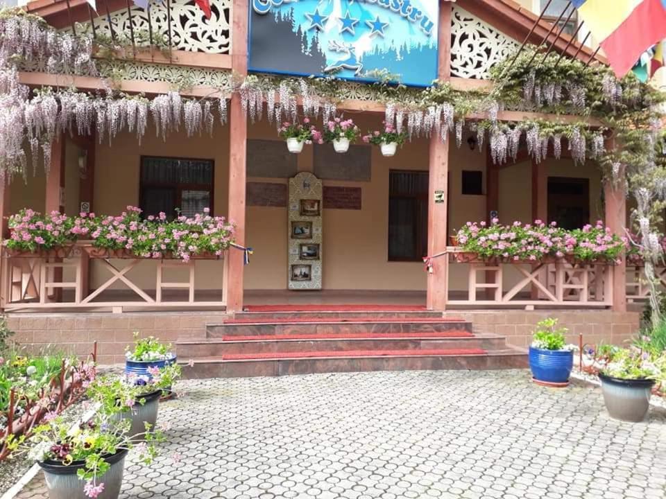 Vila Cerbul Albastru Hotel Moneasa Esterno foto