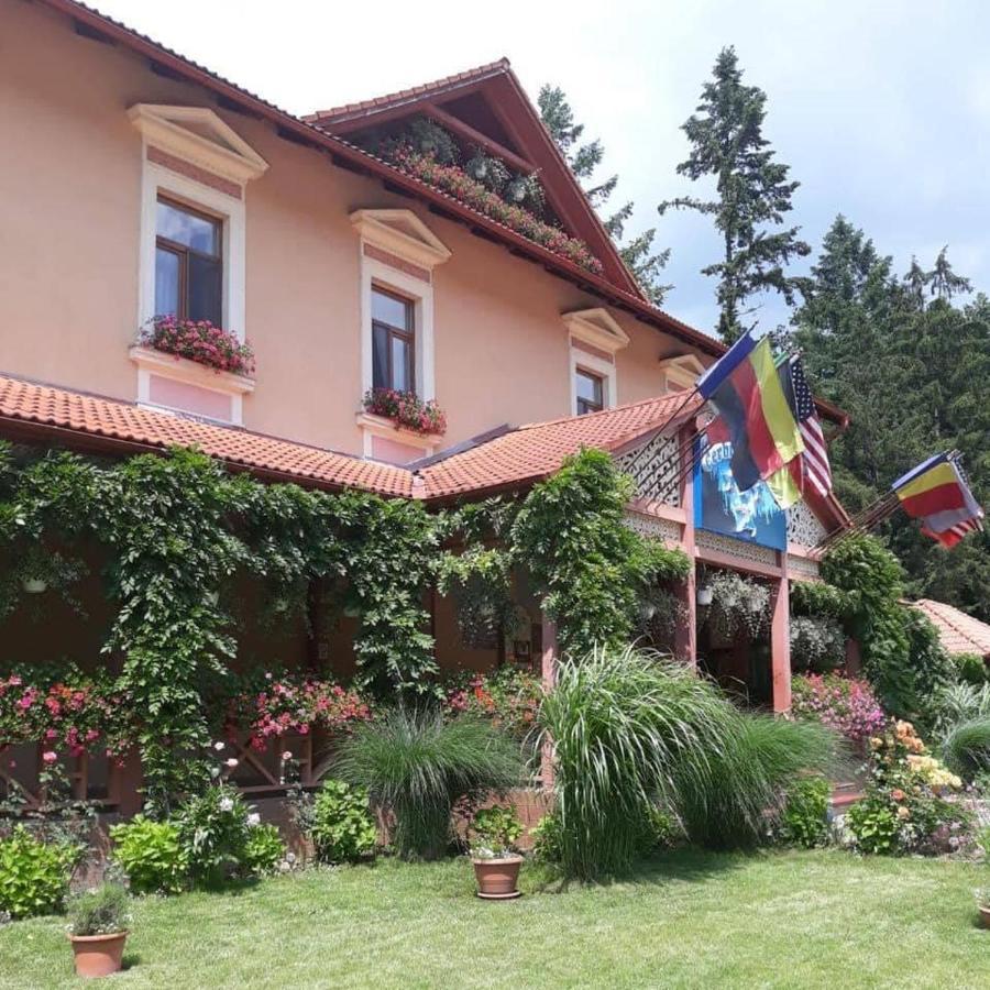 Vila Cerbul Albastru Hotel Moneasa Esterno foto