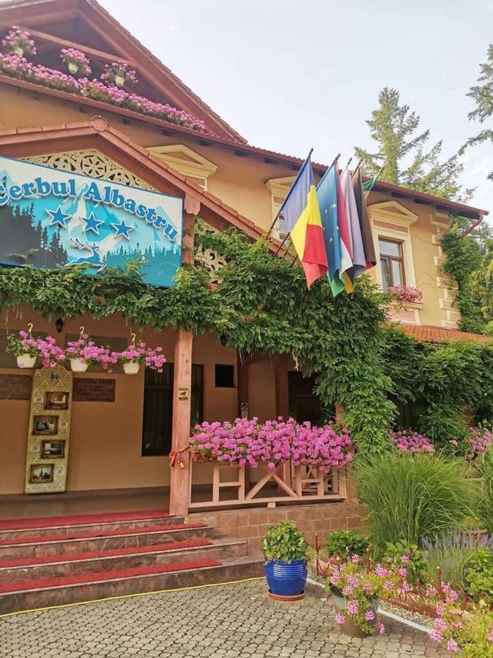 Vila Cerbul Albastru Hotel Moneasa Esterno foto